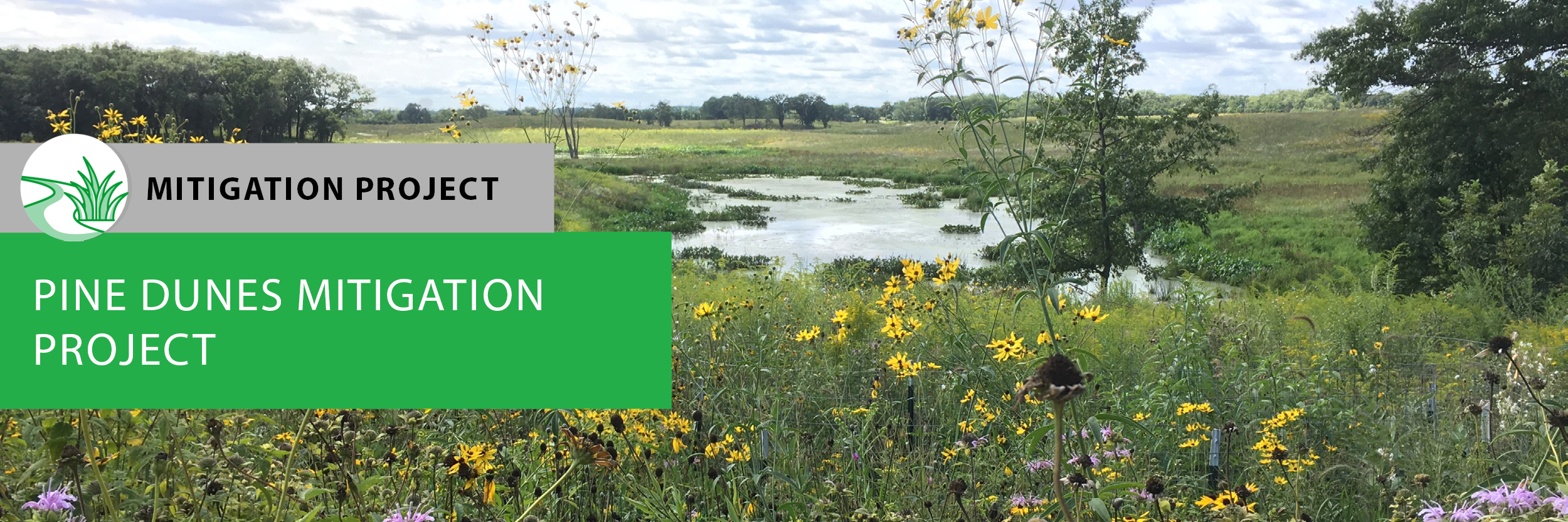 Pine Dunes Mitigation Project